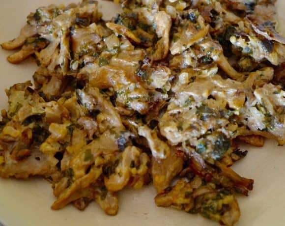 Oyster mushrooms, tarragon and sour cream by Foodjoya