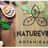 Naturevibe Botanicals Organic Ginger Root Powder served